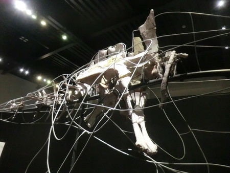 f:id:taron:20190914134708j:image f:id:taron:20190914134708j:image