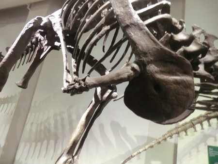 f:id:taron:20190914134911j:image f:id:taron:20190914134911j:image