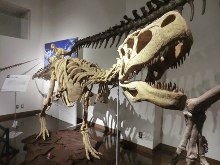 f:id:taron:20190914134933j:image f:id:taron:20190914134933j:image