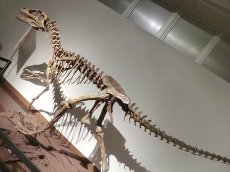 f:id:taron:20190914135014j:image f:id:taron:20190914135014j:image