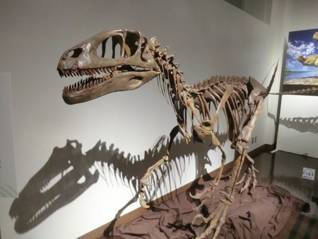 f:id:taron:20190914135027j:image f:id:taron:20190914135027j:image