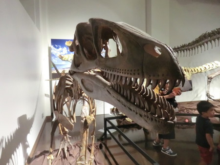 f:id:taron:20190914135054j:image f:id:taron:20190914135054j:image