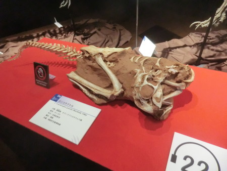 f:id:taron:20190914135324j:image f:id:taron:20190914135324j:image