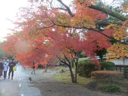 f:id:taron:20191123164017j:image f:id:taron:20191123164017j:image