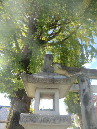 f:id:taron:20191129130706j:image