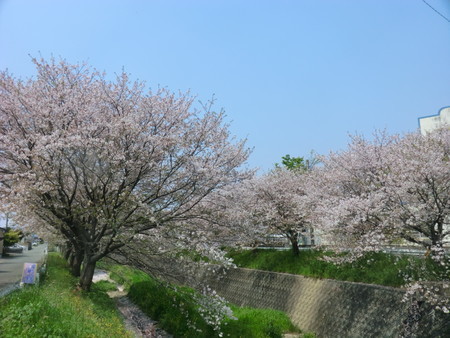 f:id:taron:20200408110127j:image