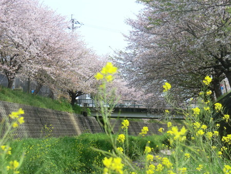 f:id:taron:20200408110424j:image
