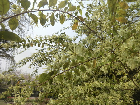f:id:taron:20200408123527j:image