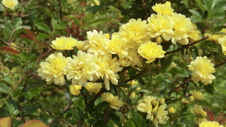 f:id:taron:20200408123758j:image