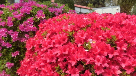 f:id:taron:20200408124205j:image