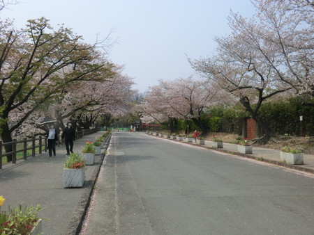 f:id:taron:20200408125248j:image
