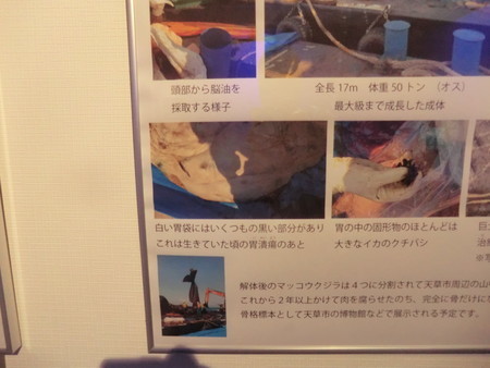 f:id:taron:20200529155844j:image