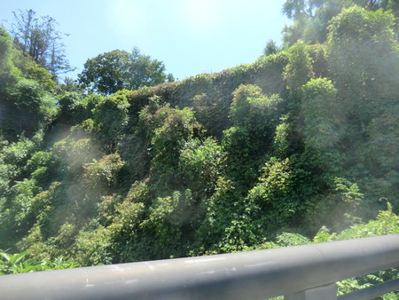 f:id:taron:20200829120318j:image f:id:taron:20200829120318j:image