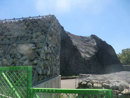 f:id:taron:20200829134002j:image f:id:taron:20200829134002j:image