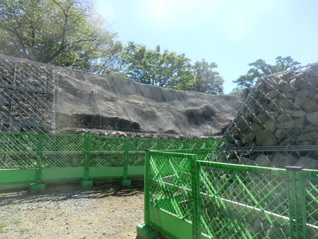 f:id:taron:20200829134114j:image f:id:taron:20200829134114j:image