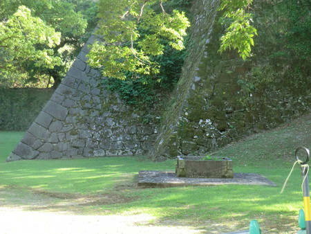 f:id:taron:20200829152412j:image f:id:taron:20200829152412j:image