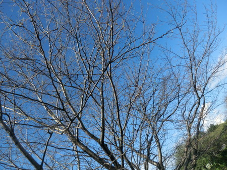 f:id:taron:20200829154632j:image f:id:taron:20200829154632j:image