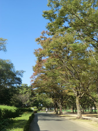f:id:taron:20201015143549j:image f:id:taron:20201015143549j:image