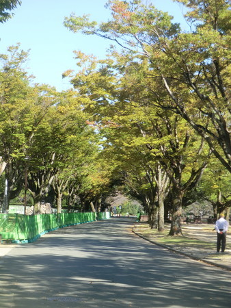 f:id:taron:20201015143652j:image f:id:taron:20201015143652j:image