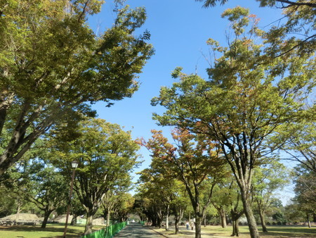 f:id:taron:20201015143809j:image f:id:taron:20201015143809j:image