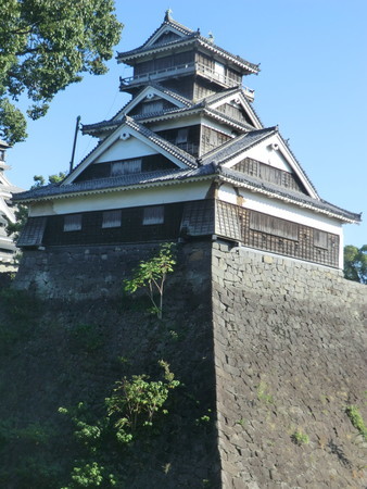 f:id:taron:20201015151307j:image f:id:taron:20201015151307j:image