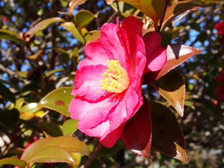 f:id:taron:20210120130356j:image