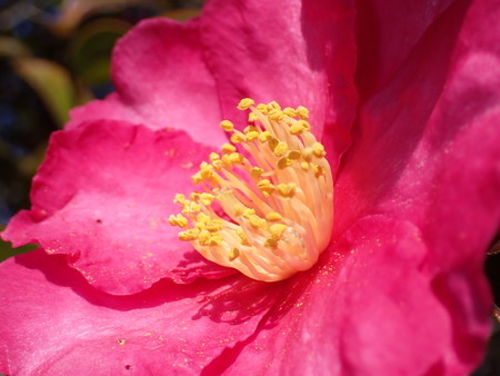 f:id:taron:20210120130427j:image