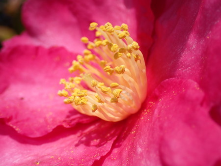 f:id:taron:20210120130448j:image