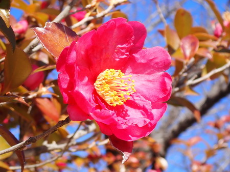 f:id:taron:20210120130557j:image