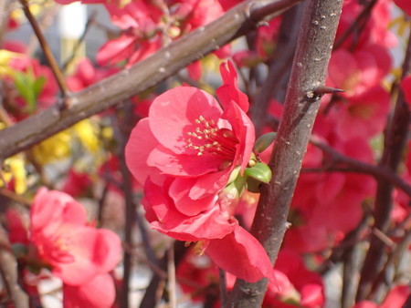 f:id:taron:20210303150344j:image