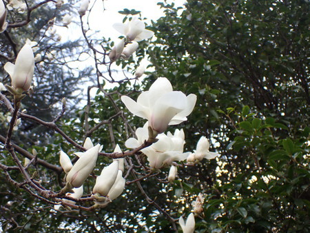 f:id:taron:20210303151500j:image