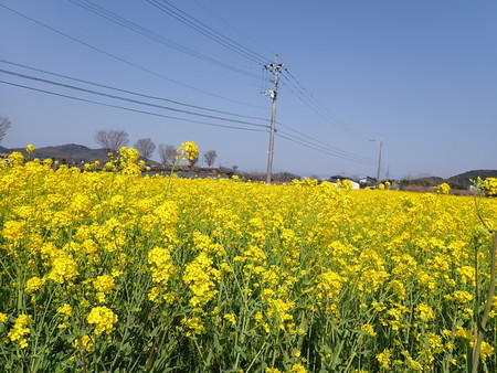 f:id:taron:20210310144813j:image