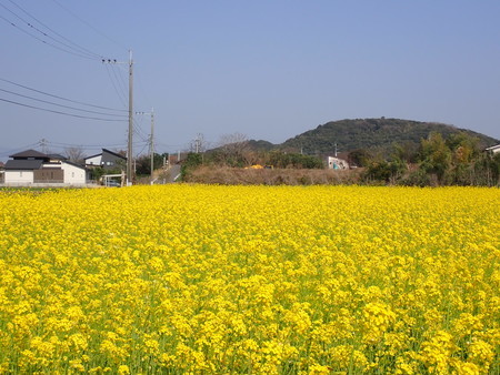 f:id:taron:20210310144856j:image