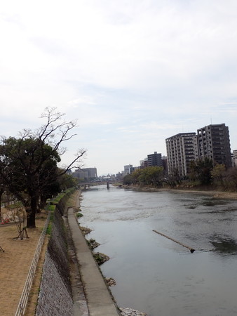 f:id:taron:20210311131002j:image