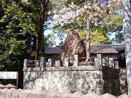 f:id:taron:20210326142909j:image