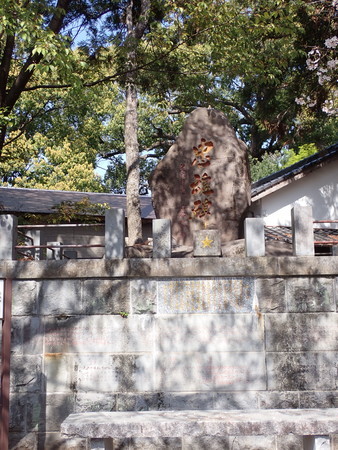 f:id:taron:20210326142918j:image