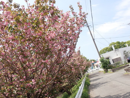 f:id:taron:20210406123946j:image
