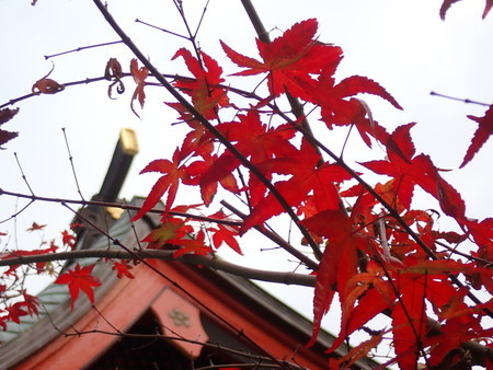 f:id:taron:20211214154426j:image