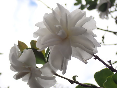 f:id:taron:20211214154741j:image