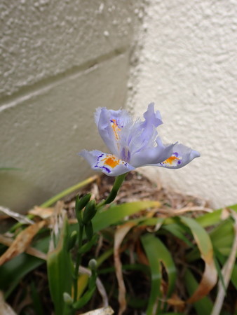 f:id:taron:20220401132629j:image