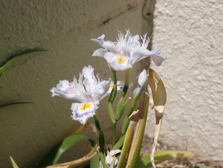 f:id:taron:20220410133628j:image