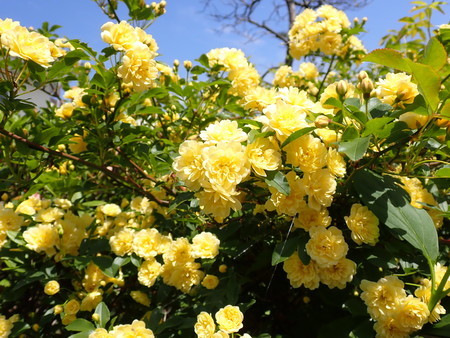 f:id:taron:20220410133707j:image