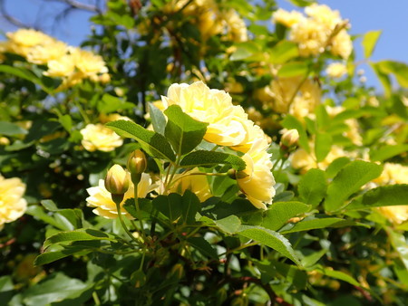 f:id:taron:20220410133714j:image