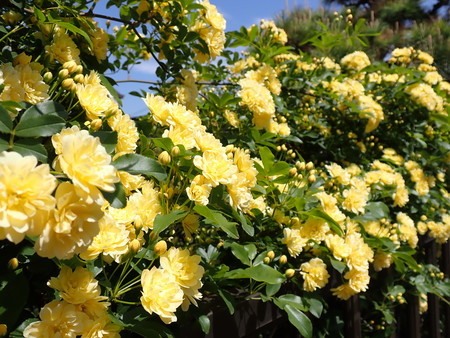 f:id:taron:20220410133722j:image