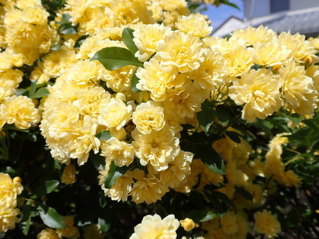 f:id:taron:20220410133733j:image