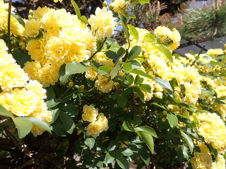 f:id:taron:20220410133740j:image