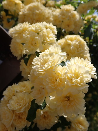 f:id:taron:20220410142620j:image