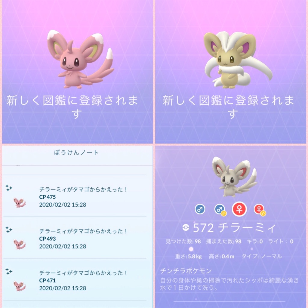 2 2 チラーミィのリサーチデイ たろりな旅go日記