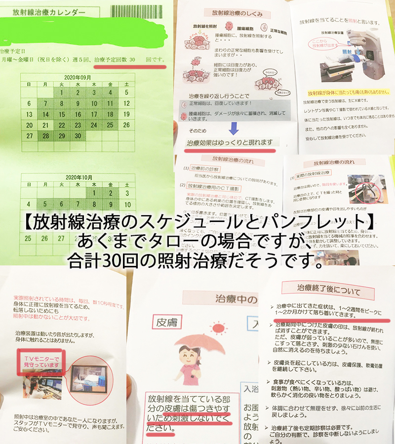 放射線治療のスケジュールとパンフレット