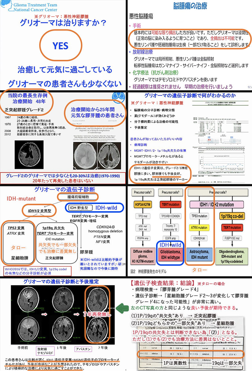 脳腫瘍は治る(寛解を目指せる)!by国立がん研究センターYoutube動画より。(ケースバイケースといえばそれまでですが様々な状況で対応策があるということなので希望は全く捨てないで一緒に頑張りましょう〜☆)